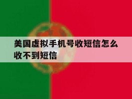 美国虚拟手机号收短信怎么收不到短信