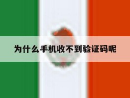 为什么手机收不到验证码呢