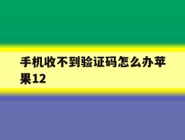 手机收不到验证码怎么办苹果12