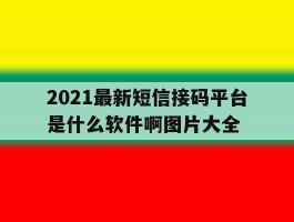 2021最新短信接码平台是什么软件啊图片大全
