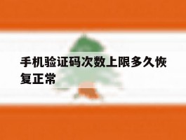 手机验证码次数上限多久恢复正常