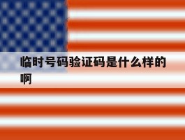 临时号码验证码是什么样的啊