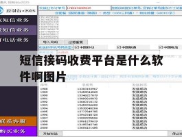 短信接码收费平台是什么软件啊图片