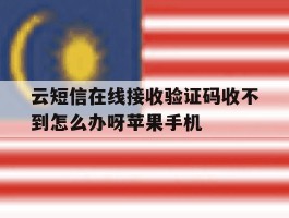 关于云短信在线接收验证码收不到怎么办呀苹果手机的信息