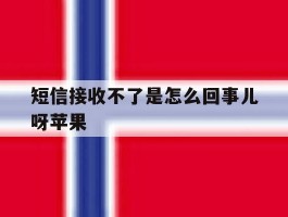 短信接收不了是怎么回事儿呀苹果