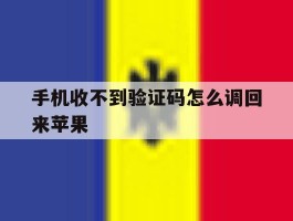 手机收不到验证码怎么调回来苹果
