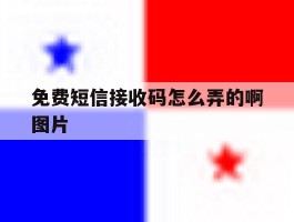 免费短信接收码怎么弄的啊图片