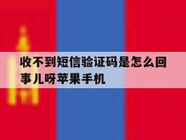 关于收不到短信验证码是怎么回事儿呀苹果手机的信息