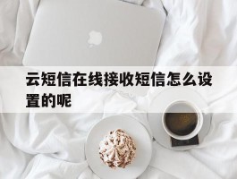 云短信在线接收短信怎么设置的呢