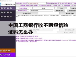 中国工商银行收不到短信验证码怎么办