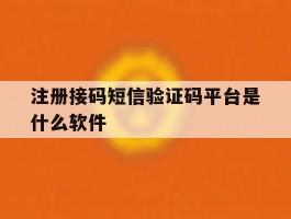 注册接码短信验证码平台是什么软件