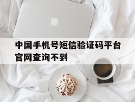 中国手机号短信验证码平台官网查询不到