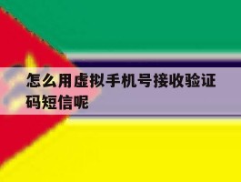 怎么用虚拟手机号接收验证码短信呢