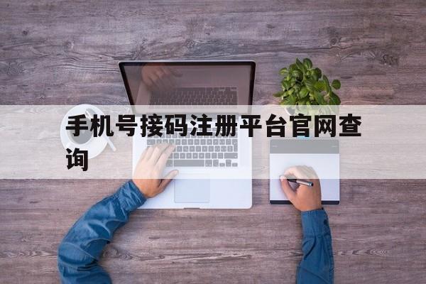 手机号接码注册平台官网查询